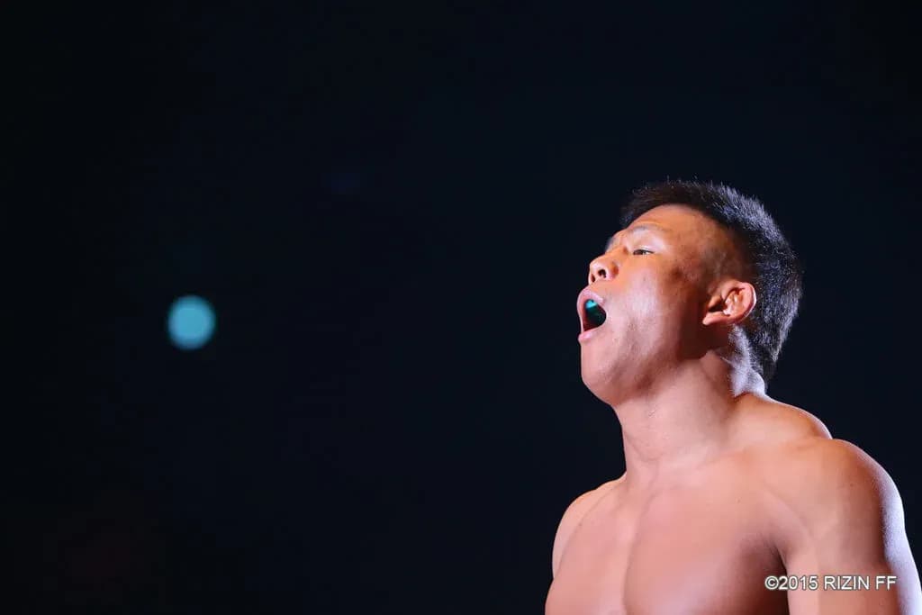 MMA article image
