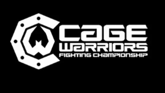 MMA article image