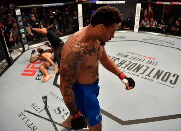 MMA article image