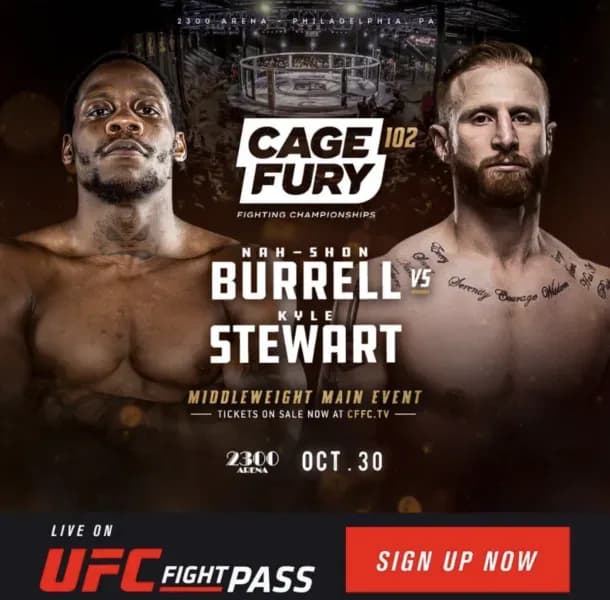 MMA article image