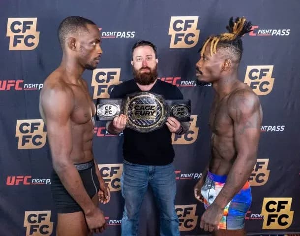 MMA article image