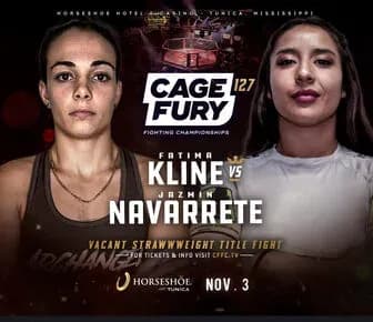 MMA article image