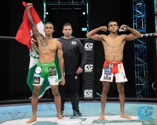 MMA article image