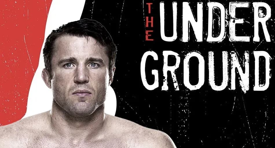 MMA article image