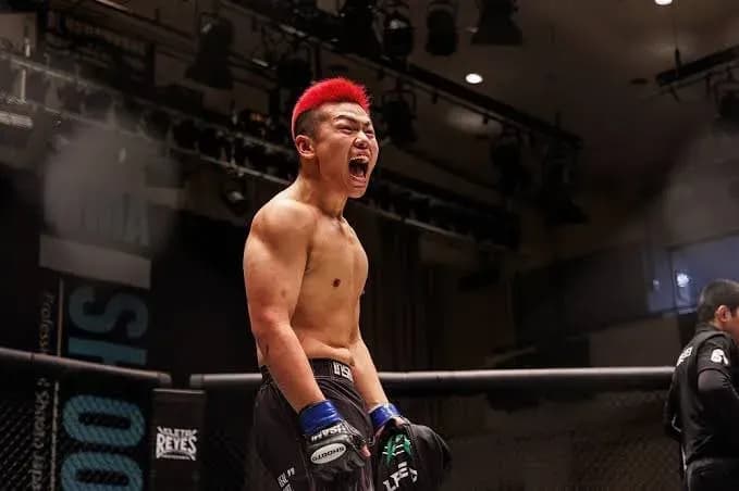 MMA article image