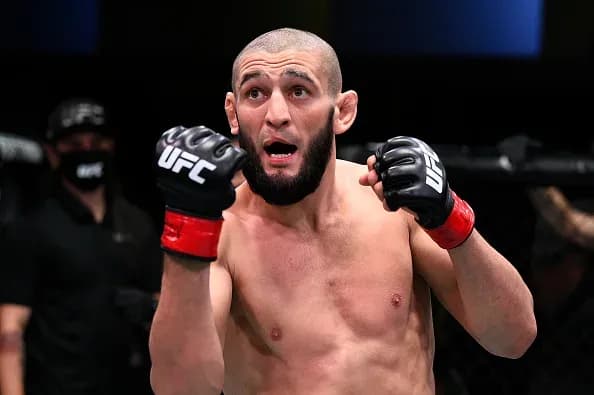 MMA article image