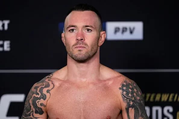 MMA article image