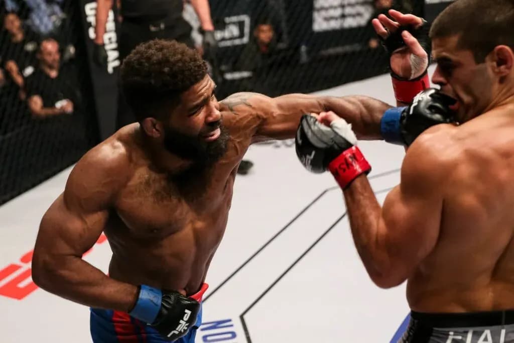 MMA article image