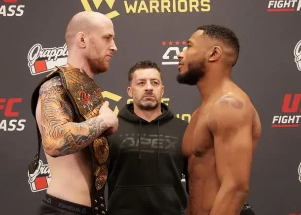 MMA article image