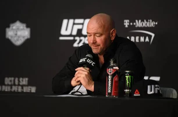 UFC 229 Brawl
