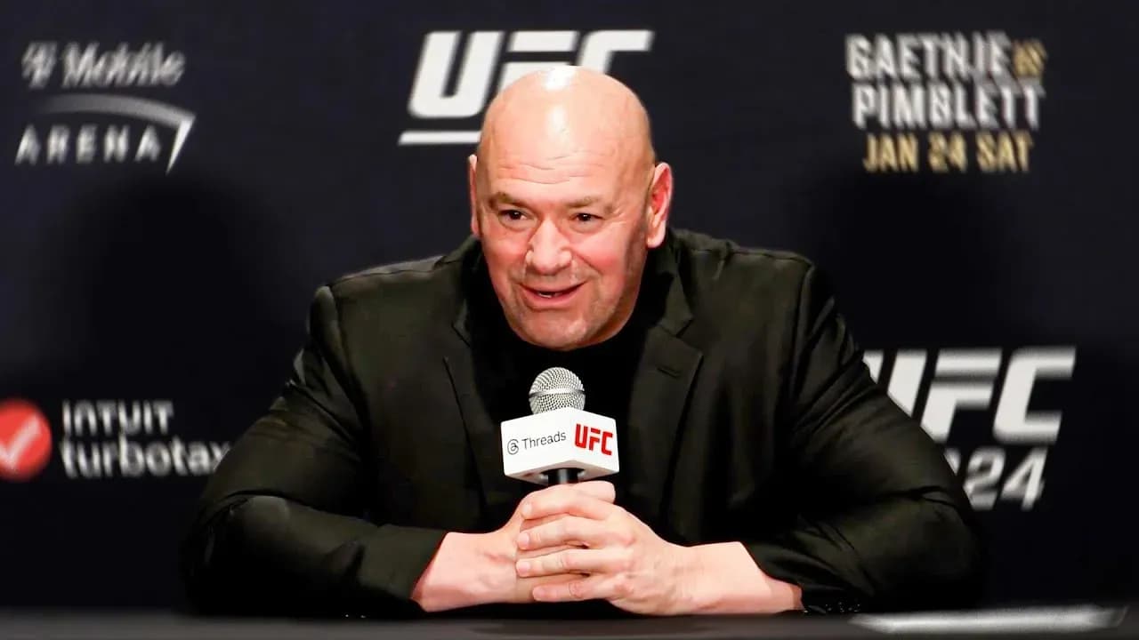 MMA article image