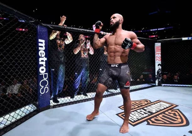 UFC Flyweight