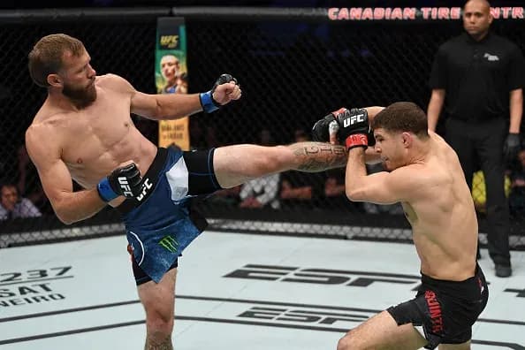MMA article image