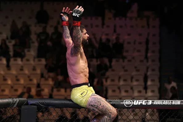 MMA article image