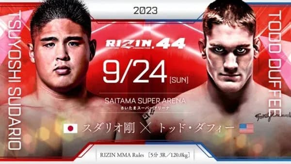 MMA article image