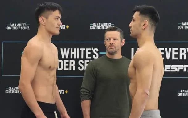 MMA article image
