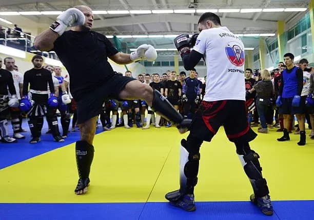 MMA article image