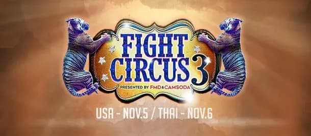 MMA article image