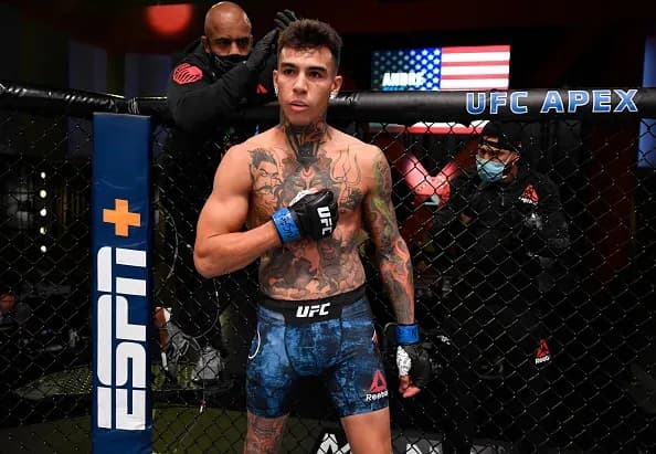 andre fili