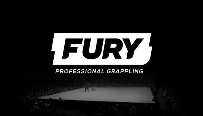 fight with fury