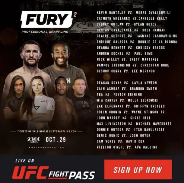 MMA article image