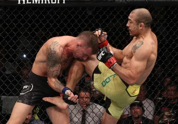 MMA article image