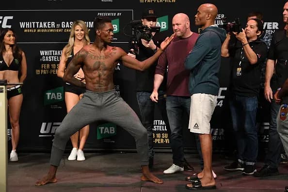 MMA article image