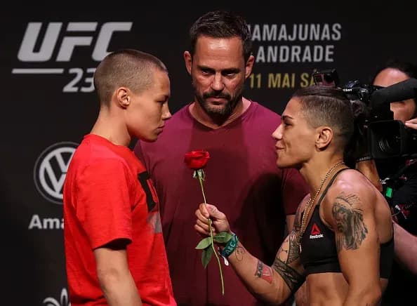 MMA article image