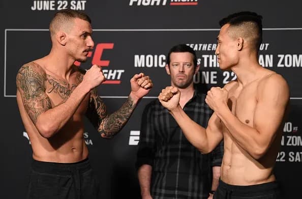 MMA article image