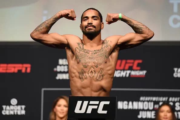 MMA article image