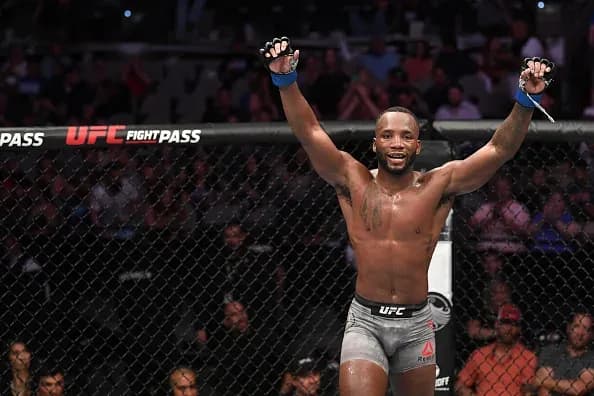 MMA article image