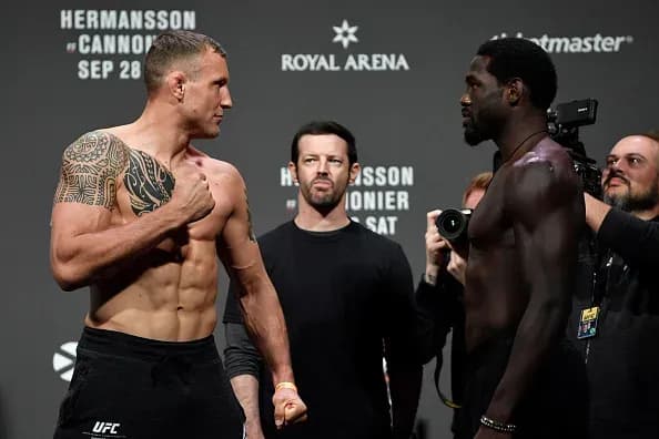 MMA article image