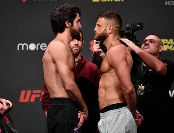 MMA article image