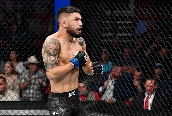 MMA article image