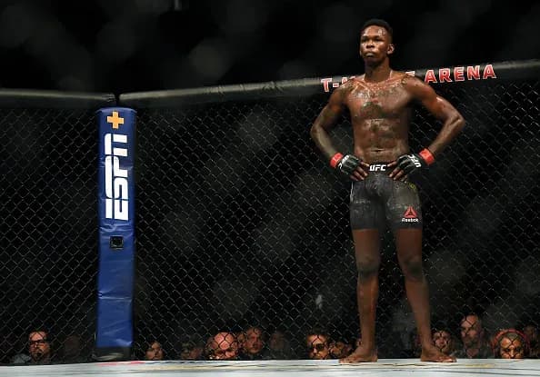 UFC 4