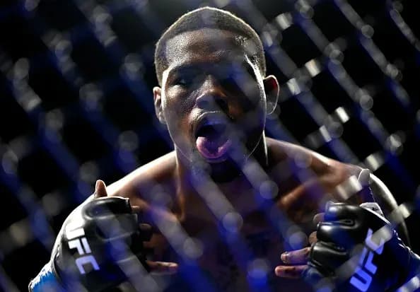 MMA article image