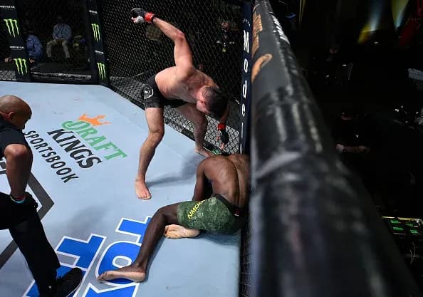 UFC Fight Night 173