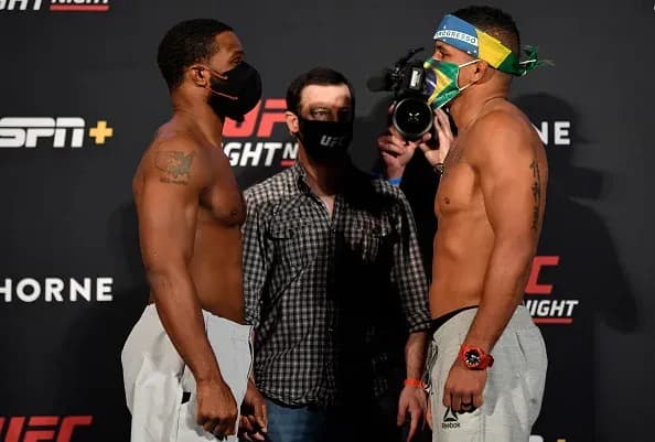 MMA article image