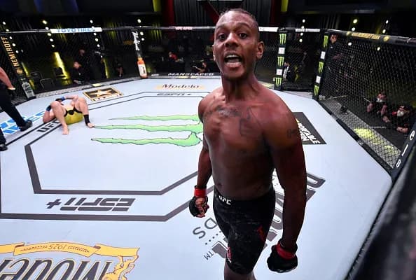 MMA article image