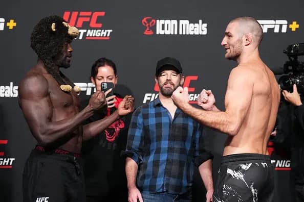 MMA article image