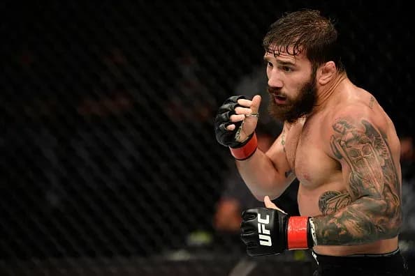 MMA article image