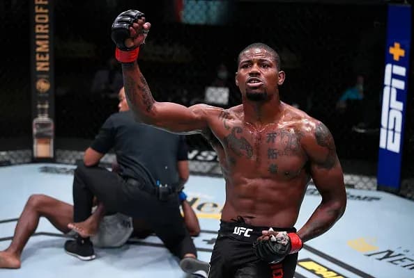 MMA article image