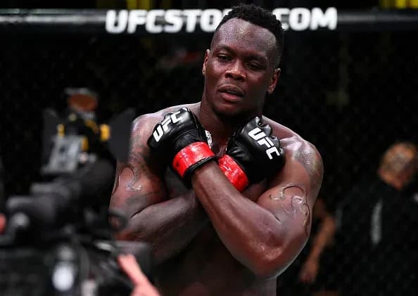 MMA article image
