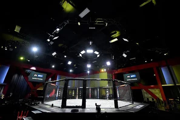 UFC - youth of MMA