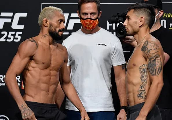 MMA article image