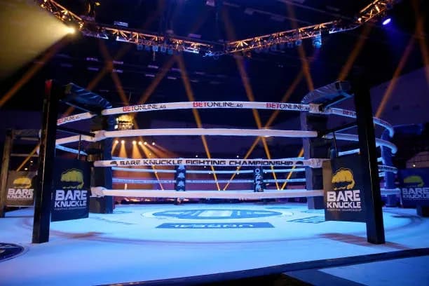 MMA article image