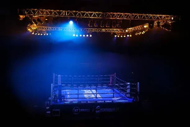 MMA article image