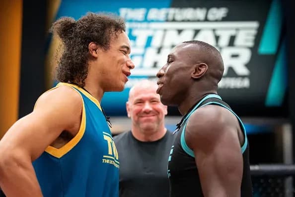 MMA article image