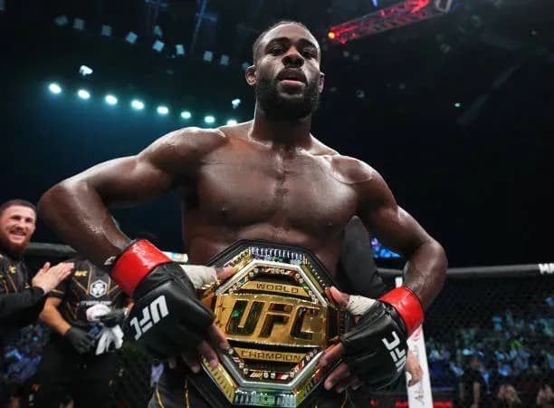 MMA article image