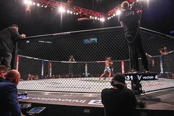 MMA article image
